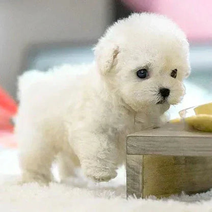 Original Realistic Puppy Toy 🐶